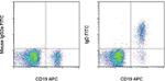 IgD Antibody in Flow Cytometry (Flow)