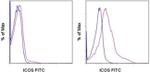 CD278 (ICOS) Antibody in Flow Cytometry (Flow)