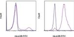 HLA-DR Antibody in Flow Cytometry (Flow)