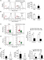 TCR V alpha 3.2 Antibody in Flow Cytometry (Flow)