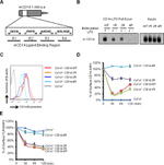 CD14 Antibody in Flow Cytometry (Flow)