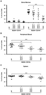 CD19 Antibody in Flow Cytometry (Flow)