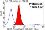 CDK4 Antibody in Flow Cytometry (Flow)