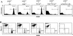 CD45R (B220) Antibody in Flow Cytometry (Flow)