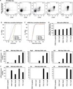 CD69 Antibody in Flow Cytometry (Flow)