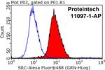 SRC Antibody in Flow Cytometry (Flow)