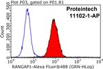 RANGAP1 Antibody in Flow Cytometry (Flow)