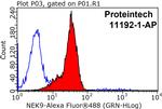 NEK9 Antibody in Flow Cytometry (Flow)