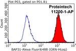 BAP31 Antibody in Flow Cytometry (Flow)