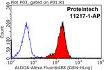 ALDOA Antibody in Flow Cytometry (Flow)