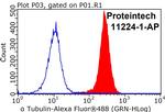 alpha Tubulin Antibody in Flow Cytometry (Flow)