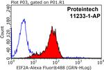 EIF2A Antibody in Flow Cytometry (Flow)