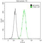 COXIV Antibody in Flow Cytometry (Flow)