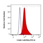 PDI Antibody in Flow Cytometry (Flow)