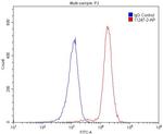 MUM1/IRF4 Antibody in Flow Cytometry (Flow)