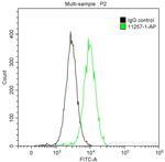 ERK1/2 Antibody in Flow Cytometry (Flow)