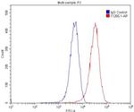 CD31 Antibody in Flow Cytometry (Flow)