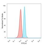 NACC1/Nac1/BTBD14B Antibody in Flow Cytometry (Flow)