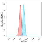 ECD/SGT1 Antibody in Flow Cytometry (Flow)