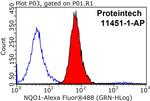 NQO1 Antibody in Flow Cytometry (Flow)