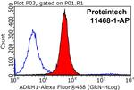 ADRM1 Antibody in Flow Cytometry (Flow)