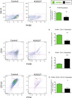 CD34 Antibody