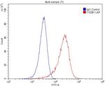 MAGED1 Antibody in Flow Cytometry (Flow)