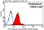 FUS/TLS Antibody in Flow Cytometry (Flow)