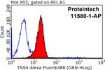 TNS4 Antibody in Flow Cytometry (Flow)