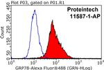 GRP78/BIP Antibody in Flow Cytometry (Flow)