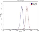 Podoplanin Antibody in Flow Cytometry (Flow)