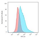 Topoisomerase I, Mitochondrial (TOP1MT) Antibody in Flow Cytometry (Flow)