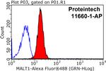 MALT1 Antibody in Flow Cytometry (Flow)