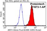 ARF4 Antibody in Flow Cytometry (Flow)