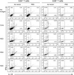 IL-10 Antibody in Flow Cytometry (Flow)