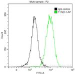 Maspin Antibody in Flow Cytometry (Flow)