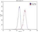 ASGR1 Antibody in Flow Cytometry (Flow)