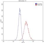 DIO1 Antibody in Flow Cytometry (Flow)