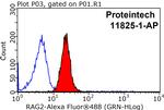 RAG2 Antibody in Flow Cytometry (Flow)