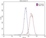 OLR1 Antibody in Flow Cytometry (Flow)