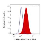 SFTPA1 Antibody in Flow Cytometry (Flow)