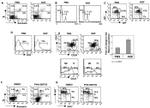 c-Met Antibody in Flow Cytometry (Flow)