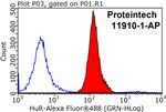 HuR Antibody in Flow Cytometry (Flow)