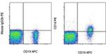 CD1d Antibody in Flow Cytometry (Flow)