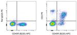 CD2 Antibody in Flow Cytometry (Flow)