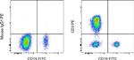 CD3 Antibody in Flow Cytometry (Flow)