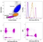 CD4 Antibody