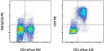 CD5 Antibody in Flow Cytometry (Flow)