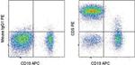 CD5 Antibody in Flow Cytometry (Flow)