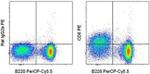 CD6 Antibody in Flow Cytometry (Flow)